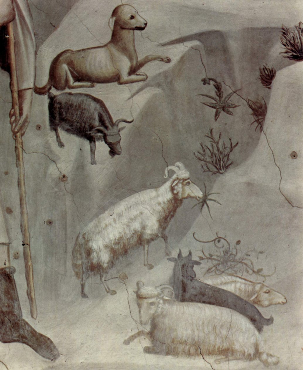 Cenas da vida de Joaquim: 5. O sonho de Joaquim

 (pormenor) de Giotto
