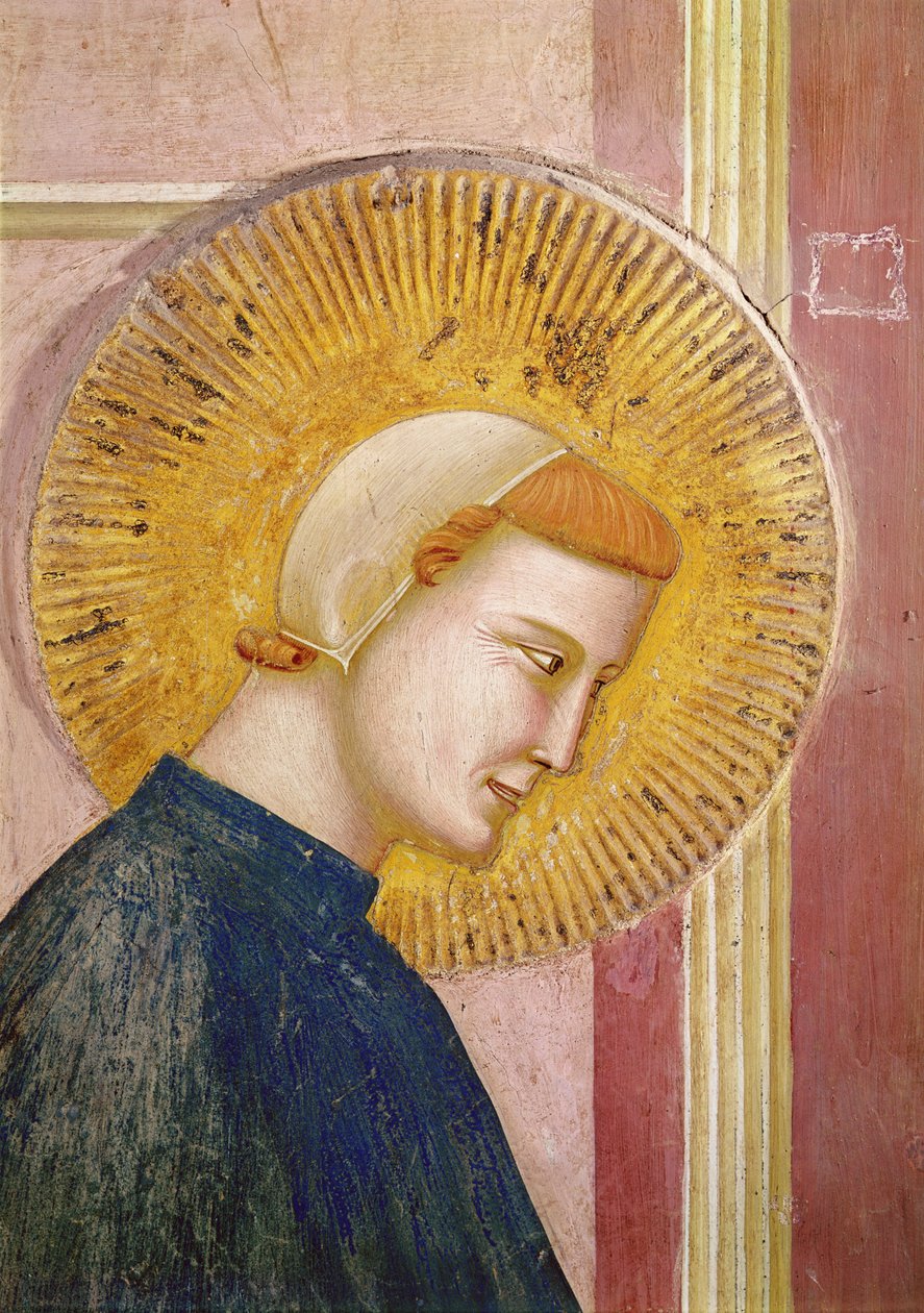 São Francisco Honrado por um Homem Simples, detalhe da cabeça de São Francisco, c.1297-99 de Giotto di Bondone
