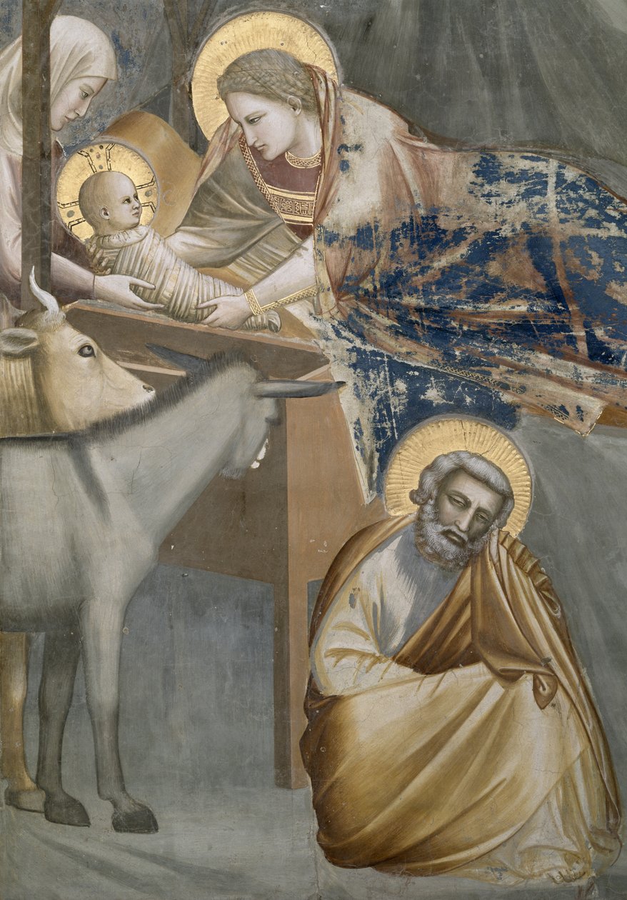 A Natividade, detalhe da Virgem e do Menino, o burro e José, 1303-05 (pós restauração) de Giotto di Bondone