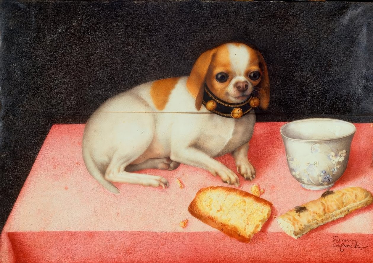 Cachorrinho com fatias de pão de Giovanna Garzoni