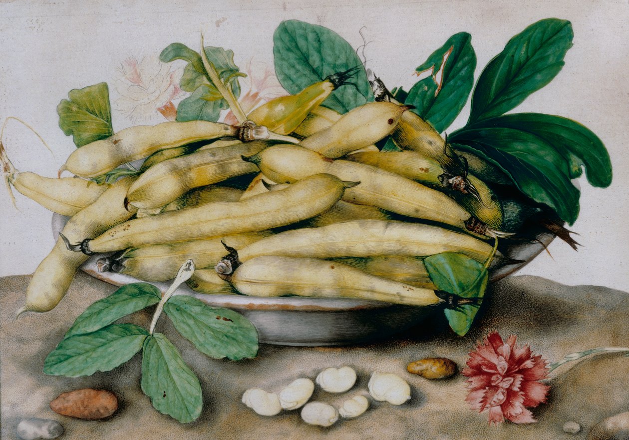 Prato de favas de Giovanna Garzoni