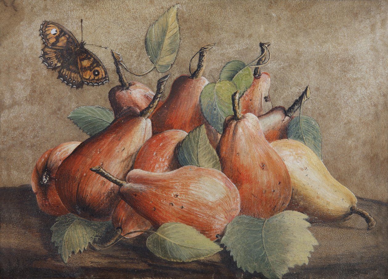Ainda vida com peras e uma borboleta de Giovanna Garzoni