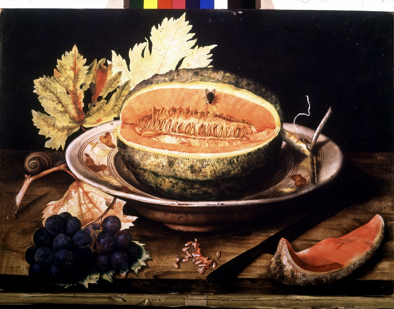 Melancia com mosca. Óleo sobre tela de Giovanna Garzoni de Giovanna Garzoni