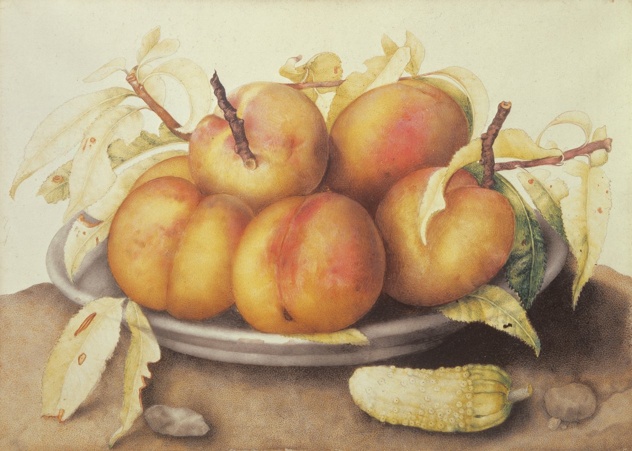 Prato de pêssegos com salmoura de Giovanna Garzoni