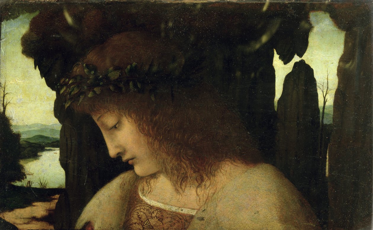 Narciso na fonte de Giovanni Antonio Boltraffio
