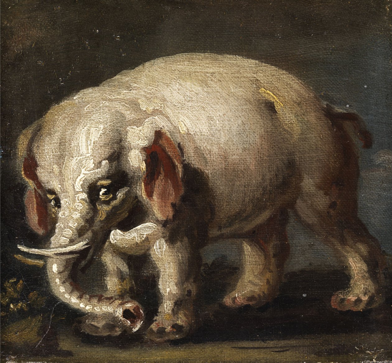 elefante de Giovanni Antonio Guardi
