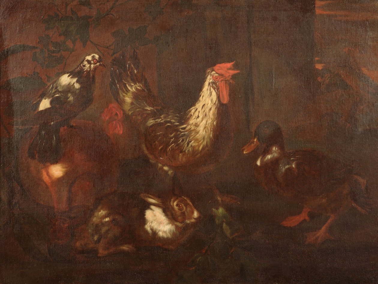Aves e Coelhos de Giovanni Francesco Cassana