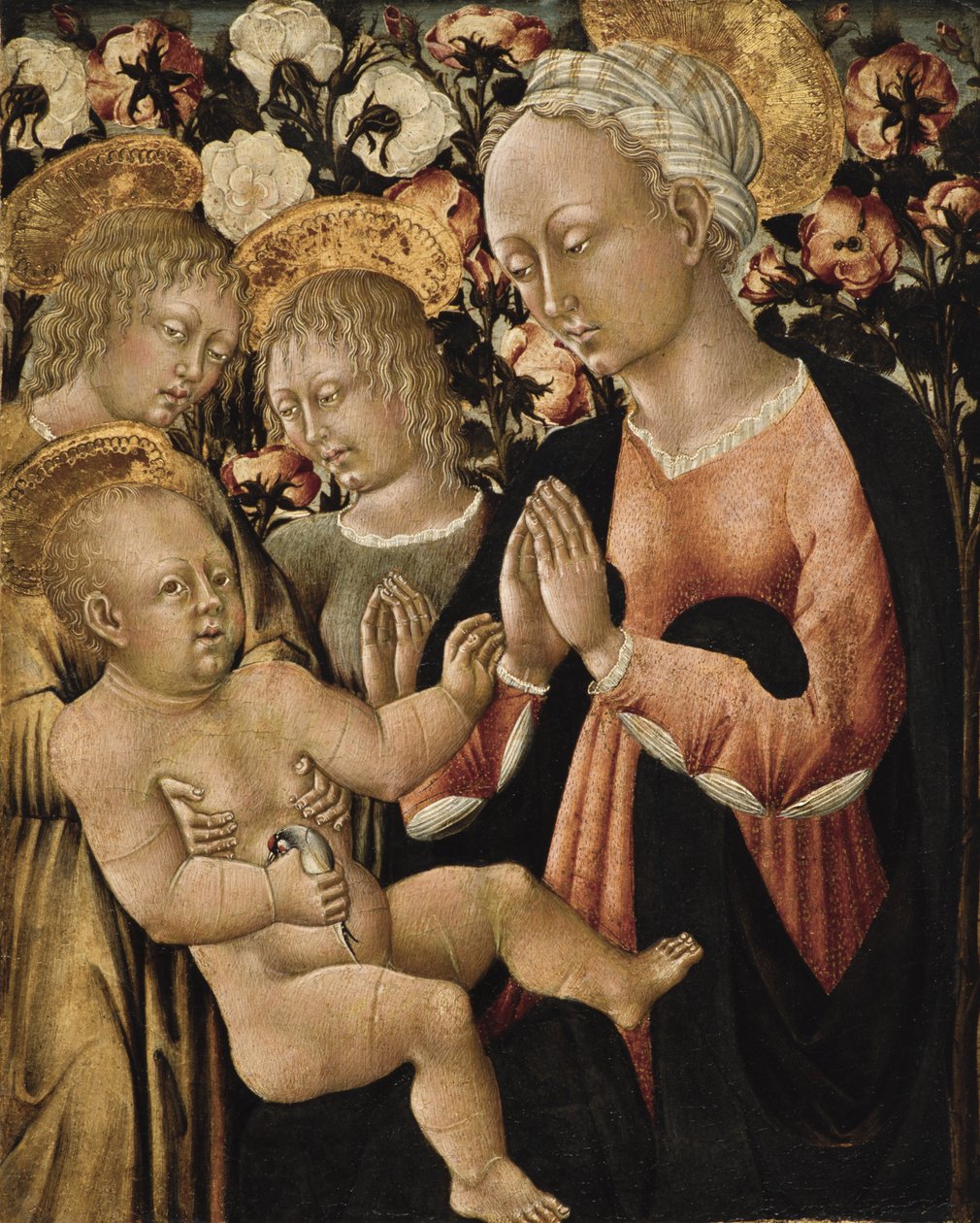 Madonna e criança com anjos, c.1475 (têmpera no painel) de Giovanni di Paolo