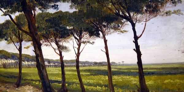 Uma Linha de Pinheiros Antigos (óleo sobre painel) de Giovanni Costa