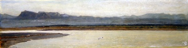 Boca do Arno (óleo sobre painel) de Giovanni Costa