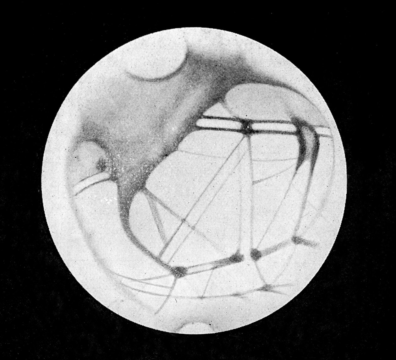 Os canais duplos de Marte (canais marcianos ou canais canalianos), depois de Giovanni Virginio Schiaparelli (1835-1910), astrónomo italiano (1890) - em "O Céu", de Alphonse Berget, Larousse de Giovanni (after) Schiaparelli