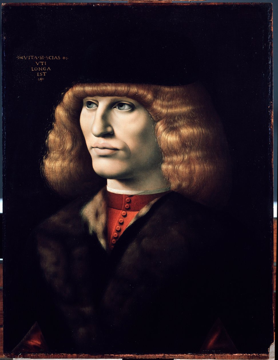 Retrato do homem jovem, cerca de 1495 (óleo sobre madeira) de Giovanni Ambrogio de Predis