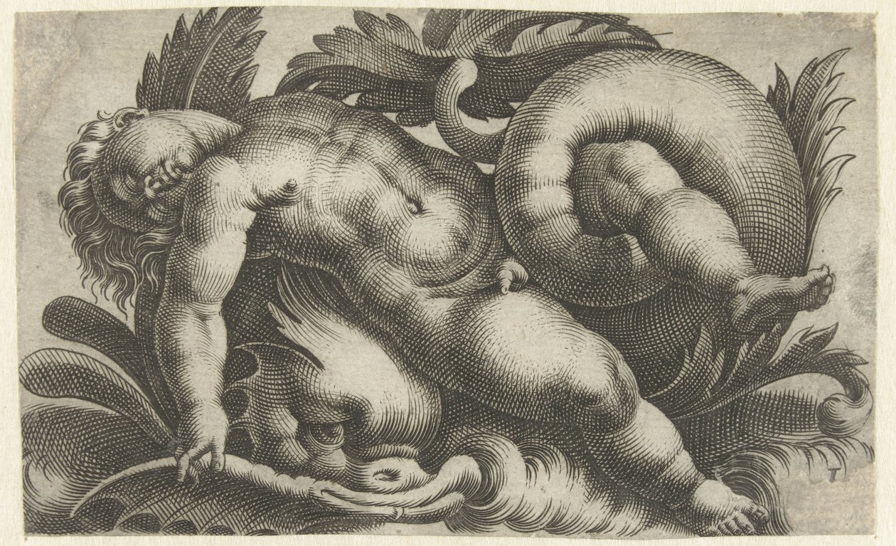 Putto dormindo no golfinho Putti em criaturas do mar (título da série) de Giovanni Andrea Maglioli
