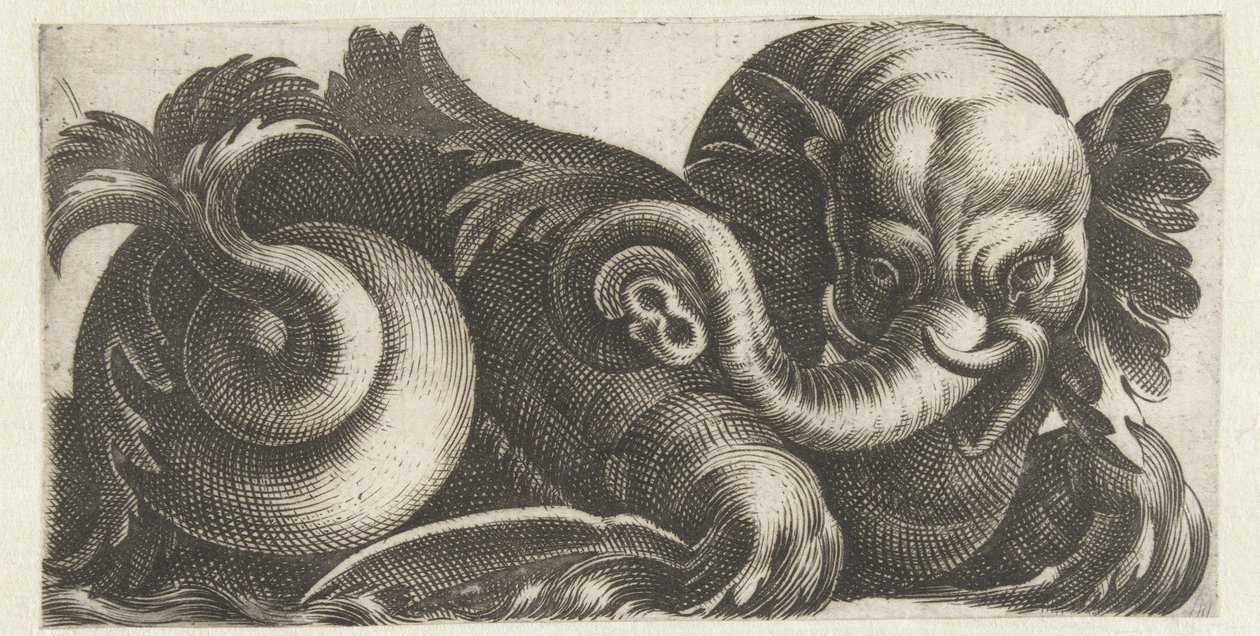 Elefante marinho com orelhas de folhas Frísios com monstros marinhos (título da série) de Giovanni Andrea Maglioli