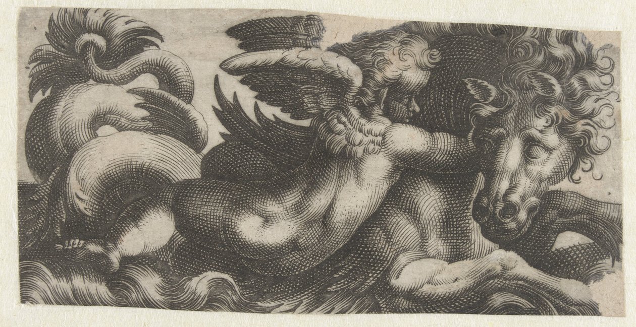 Cavalo-marinho com um putto no pescoço Frísios com monstros marinhos (título da série) de Giovanni Andrea Maglioli