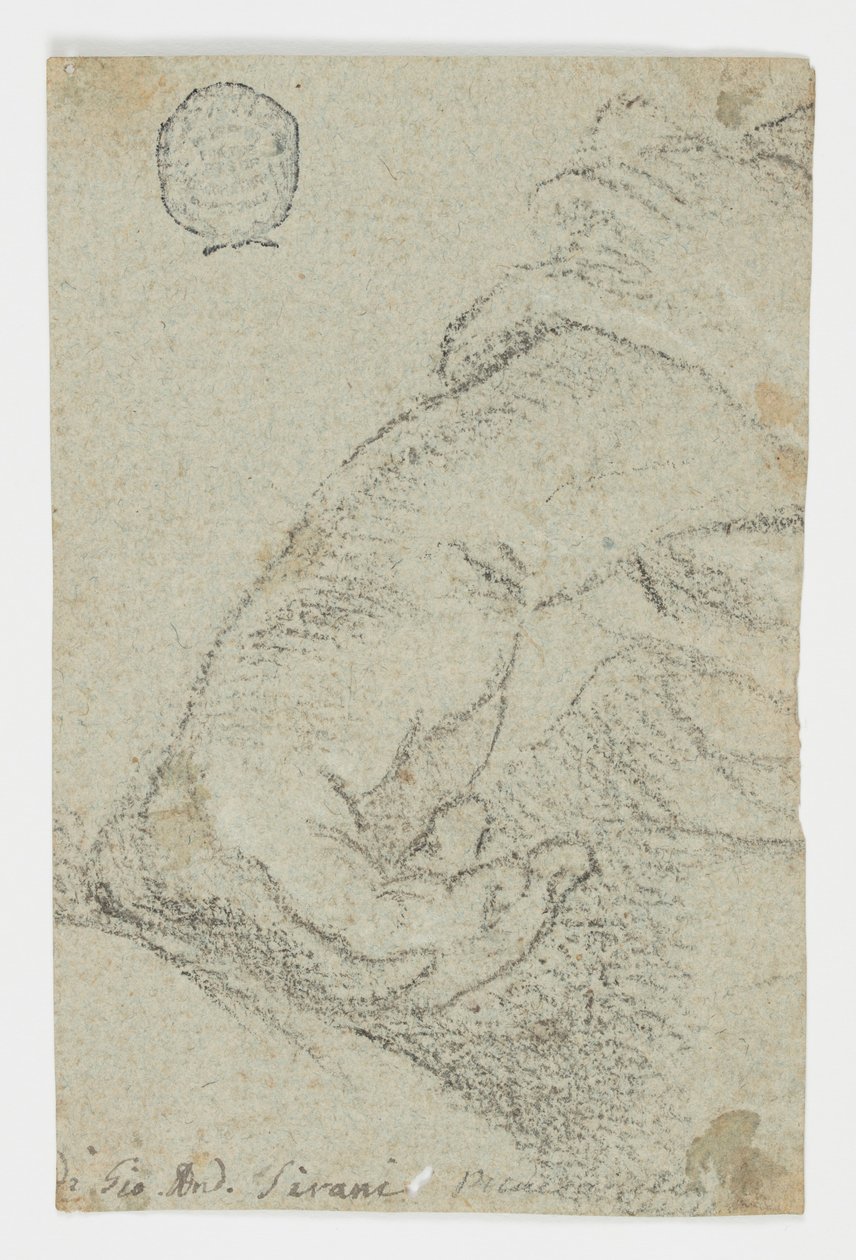 Desenho, Estudo: Uma mão esquerda numa posição inclinada, ca. 1650 de Giovanni Andrea Sirani