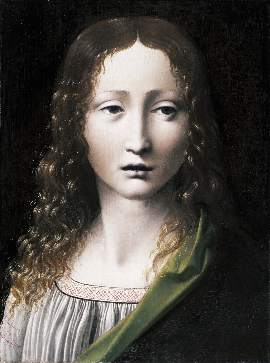 El Salvador Adolescente O Salvador do Adolescente, 1490-1495 de Giovanni Antonio Boltraffio