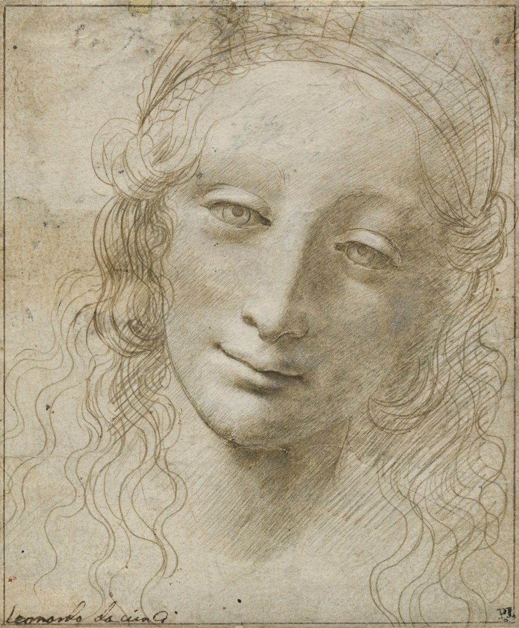 Cabeça de uma mulher de Giovanni Antonio Boltraffio