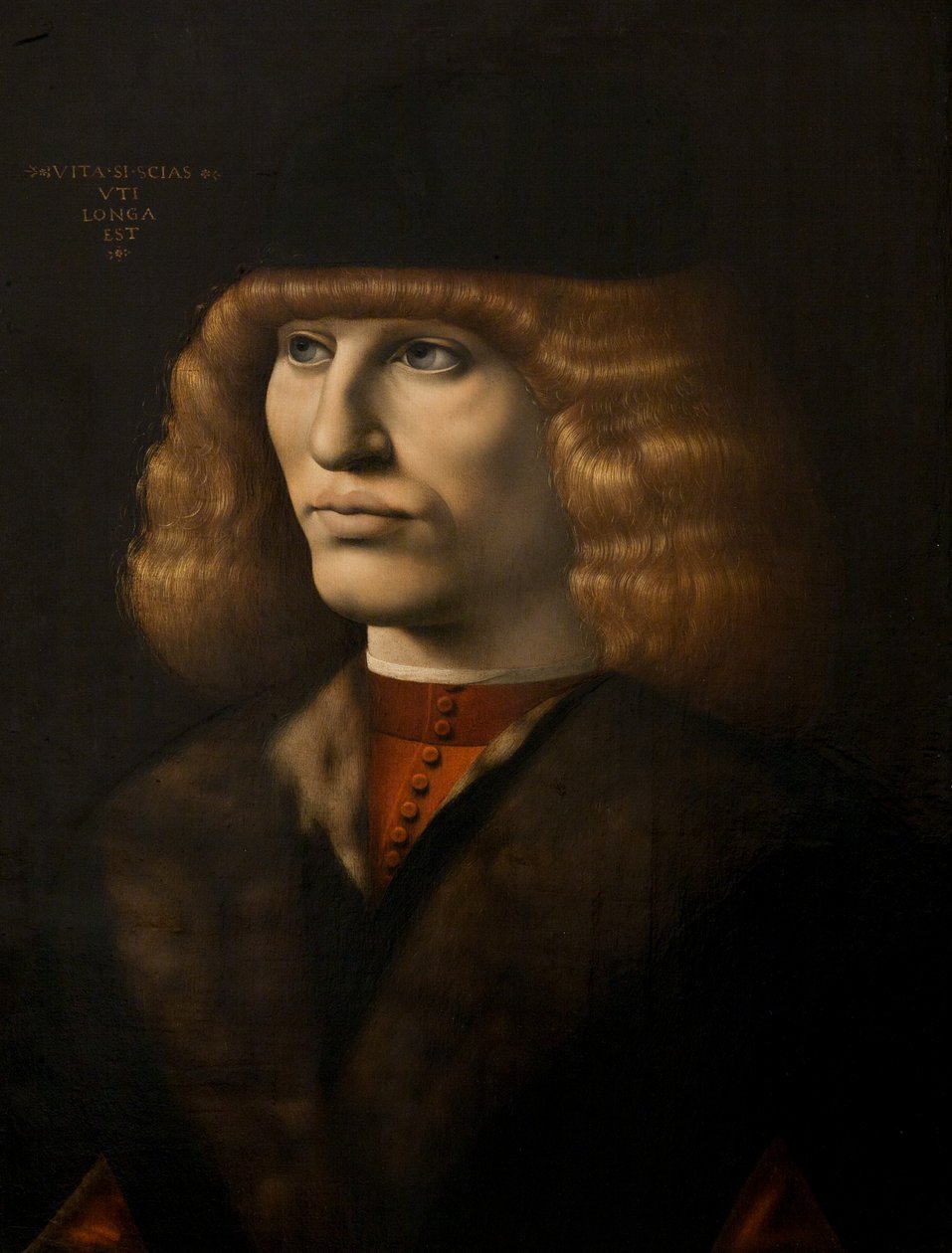 Retrato de um homem jovem, c.1500 (óleo sobre painel) de Giovanni Antonio Boltraffio