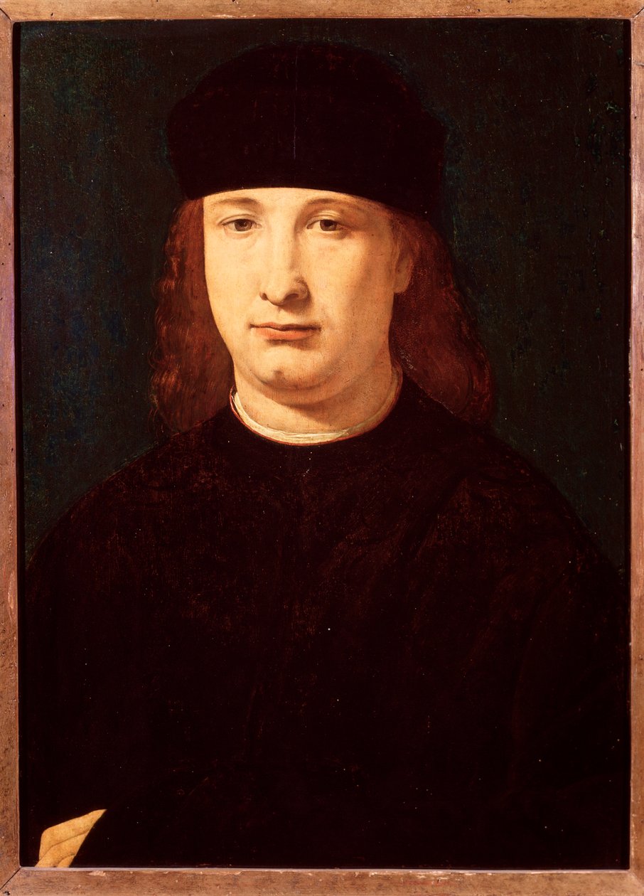 Retrato do poeta italiano Girolamo Casio (óleo sobre madeira, c.1500-1520) de Giovanni Antonio Boltraffio