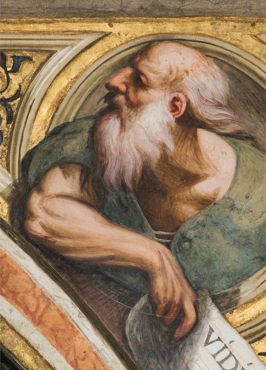 Central Nave, Plume Third Span South, IL Pordenone 1520, Busto com Profeta, Detalhe de Giovanni Antonio Pordenone