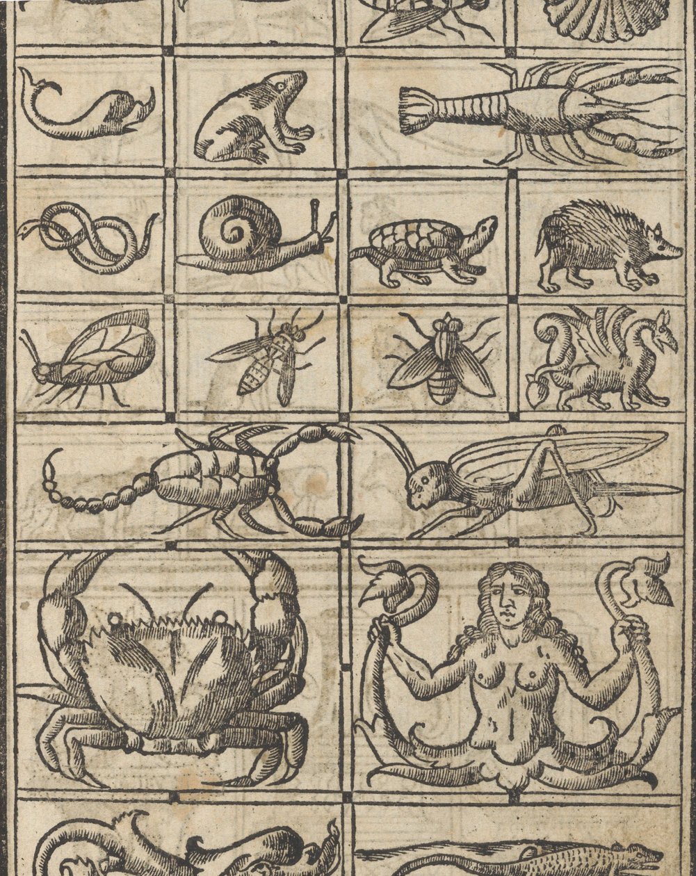 Exemplo de recammi, página 11 reto, 1530. de Giovanni Antonio Tagliente