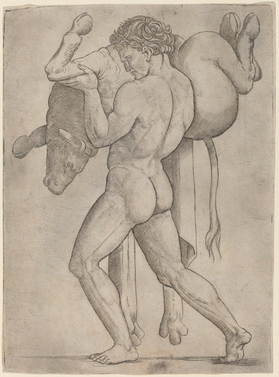 Hércules e o touro cretense de Giovanni Antonio da Brescia