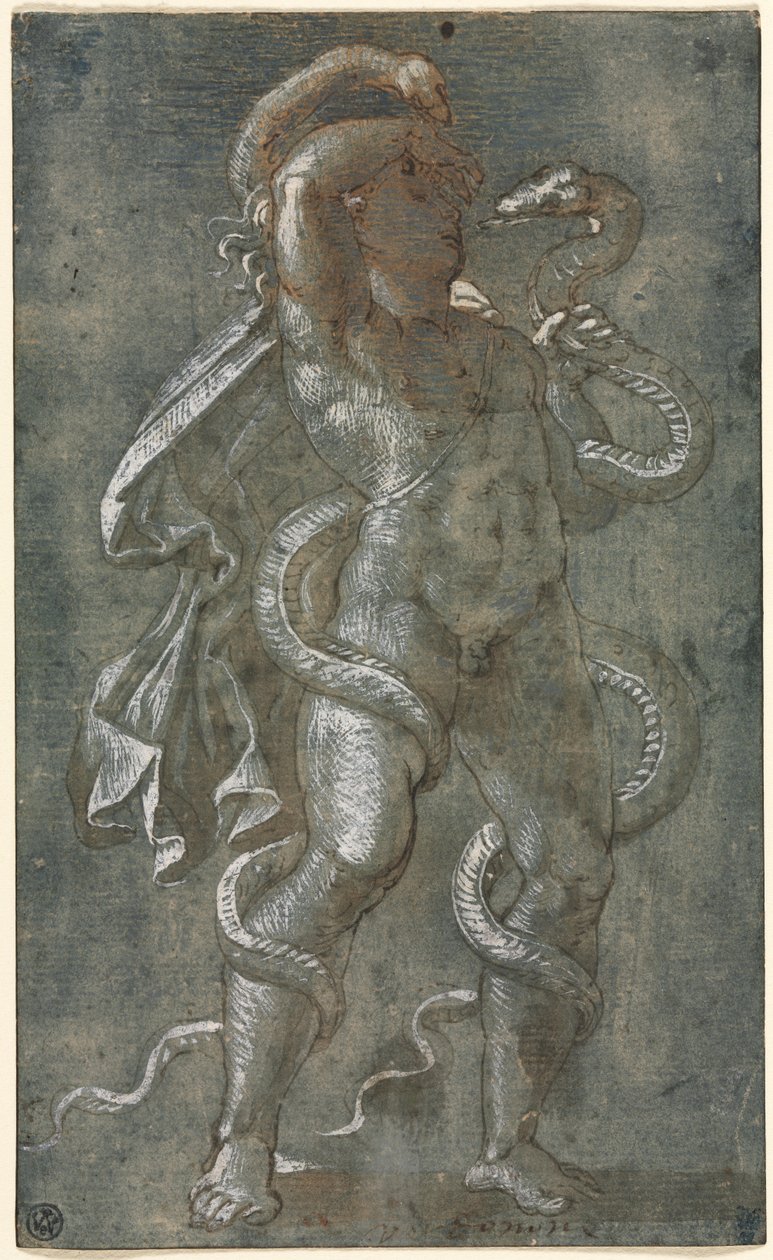 Homem entrelaçado por duas cobras, c. 1527. de Giovanni Antonio da Pordenone