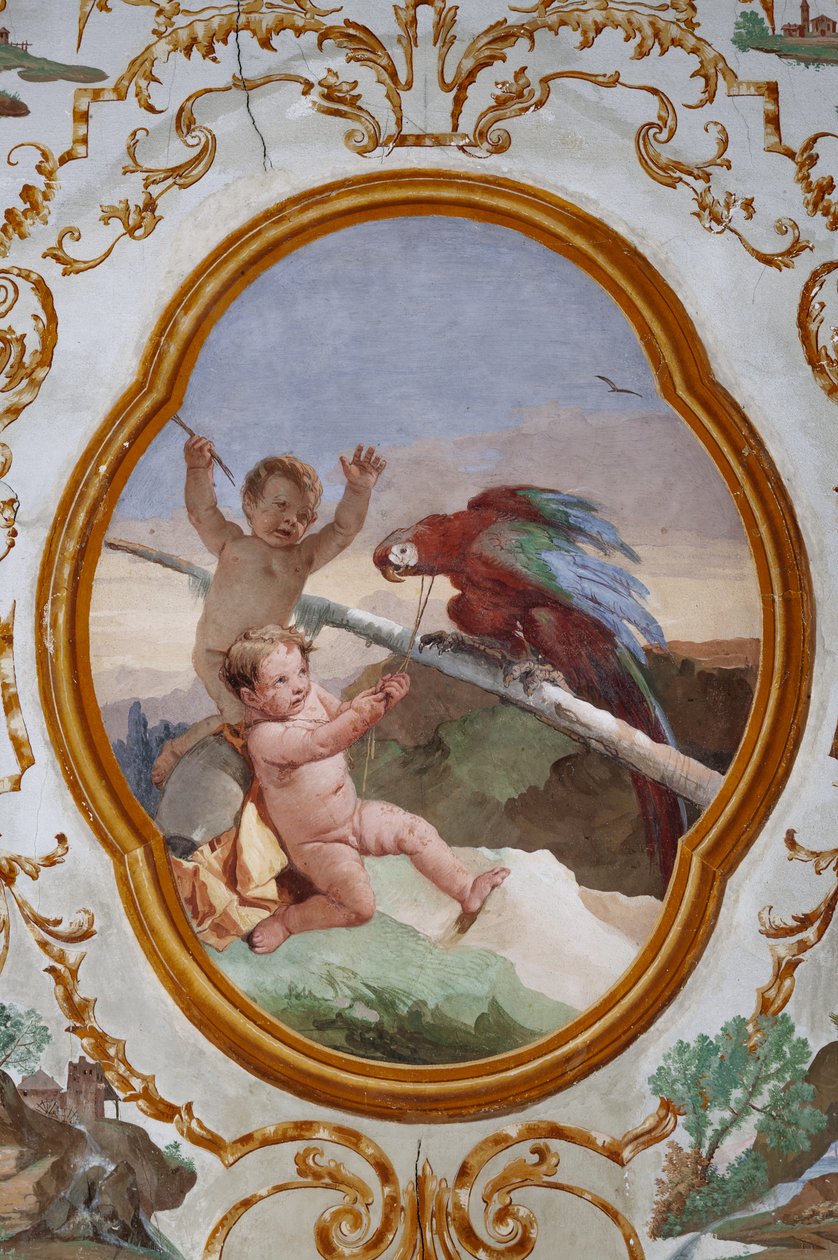 Alojamentos para hóspedes, a Sala do Putti, medalhão com putti: "Dois putti e um papagaio" de Giovanni Battista Tiepolo