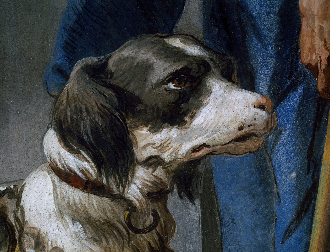 Cão Argo, detalhe do fresco de Giovanni Battista Tiepolo (1696-1770) de Giovanni Battista Tiepolo