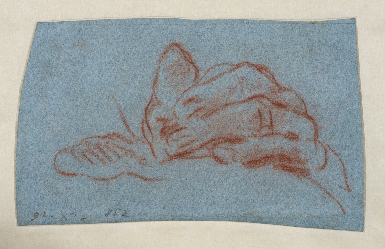 Estudo de uma mão esquerda, c.1750-1754 (giz vermelho com picotado sobre papel azul) de Giovanni Battista (attr. to) Tiepolo