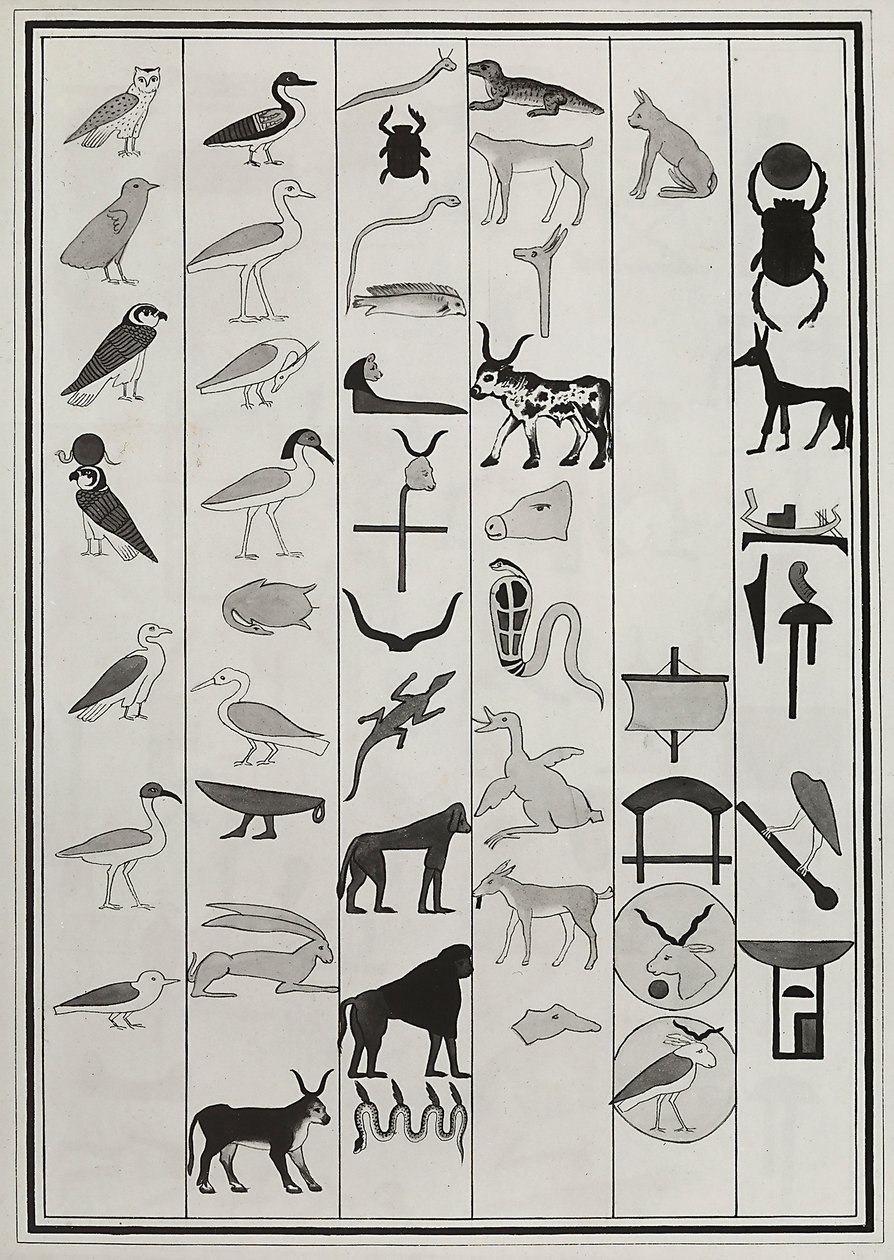 Desenhos das decorações do interior do túmulo do Faraó Psammético I, reproduzido em 1817 por Giovanni Battista Belzoni, alojado no Museu Britânico, Londres de Giovanni Battista Belzoni