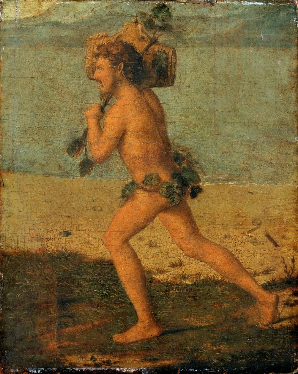 Bacchant de Giovanni Battista Cima da Conegliano