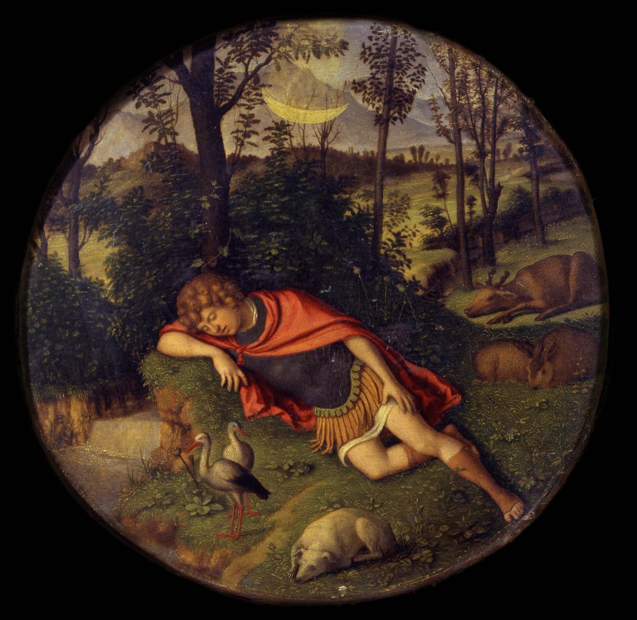 Endimião adormecido, 1505-1508 de Giovanni Battista Cima da Conegliano