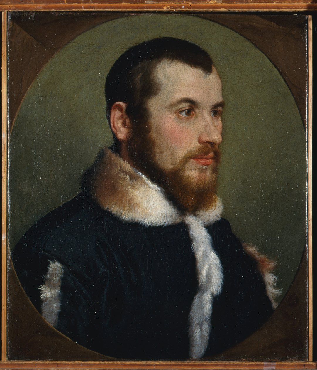 Retrato de um homem jovem, c.1560 (óleo sobre tela) de Giovanni Battista Moroni