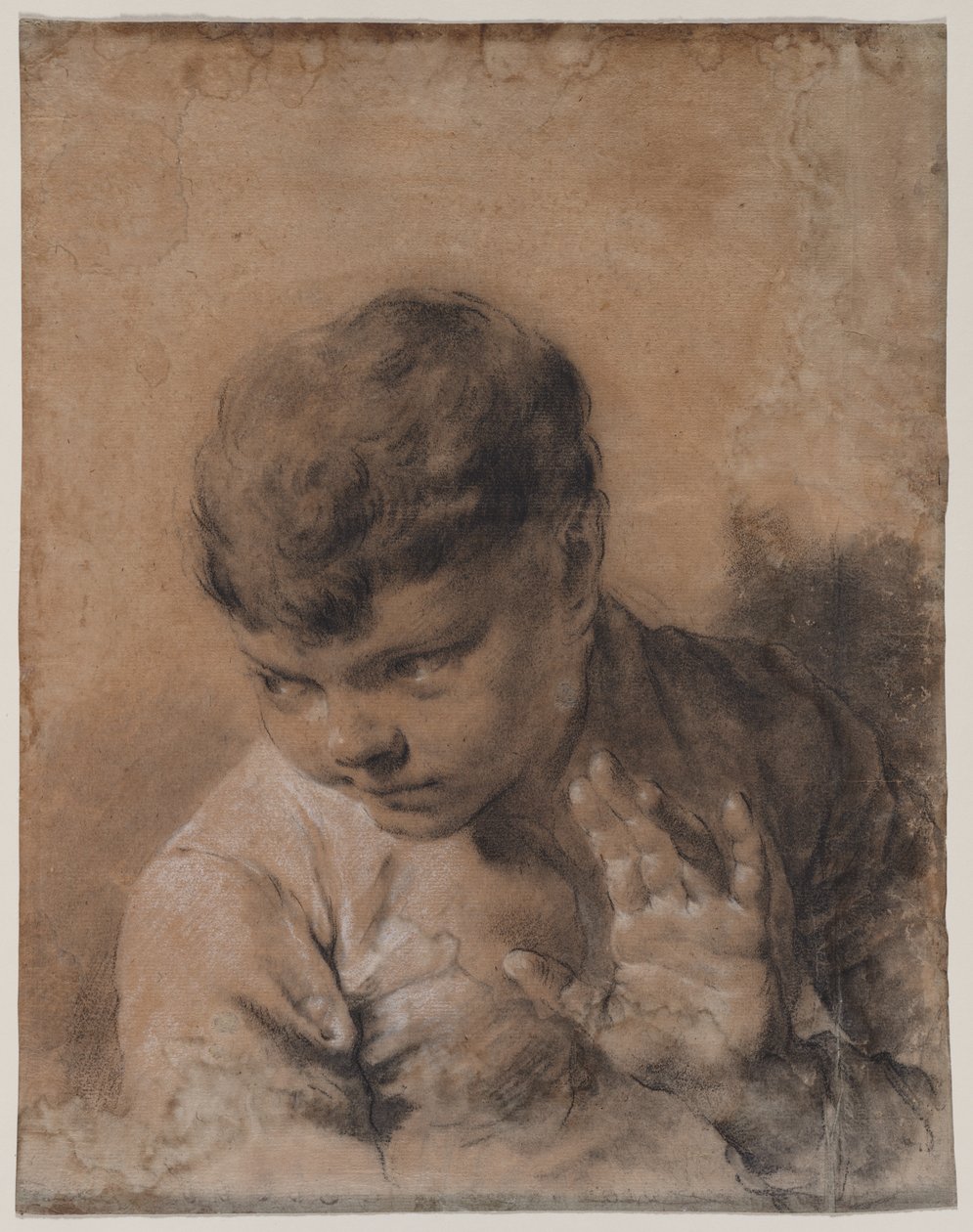 Um retrato do filho do artista Giacomo de Giovanni Battista Piazzetta