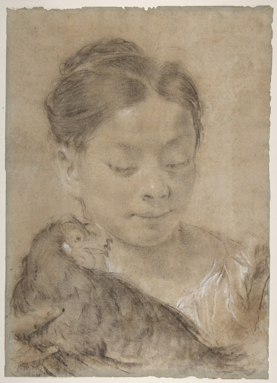 Menina com uma galinha de Giovanni Battista Piazzetta