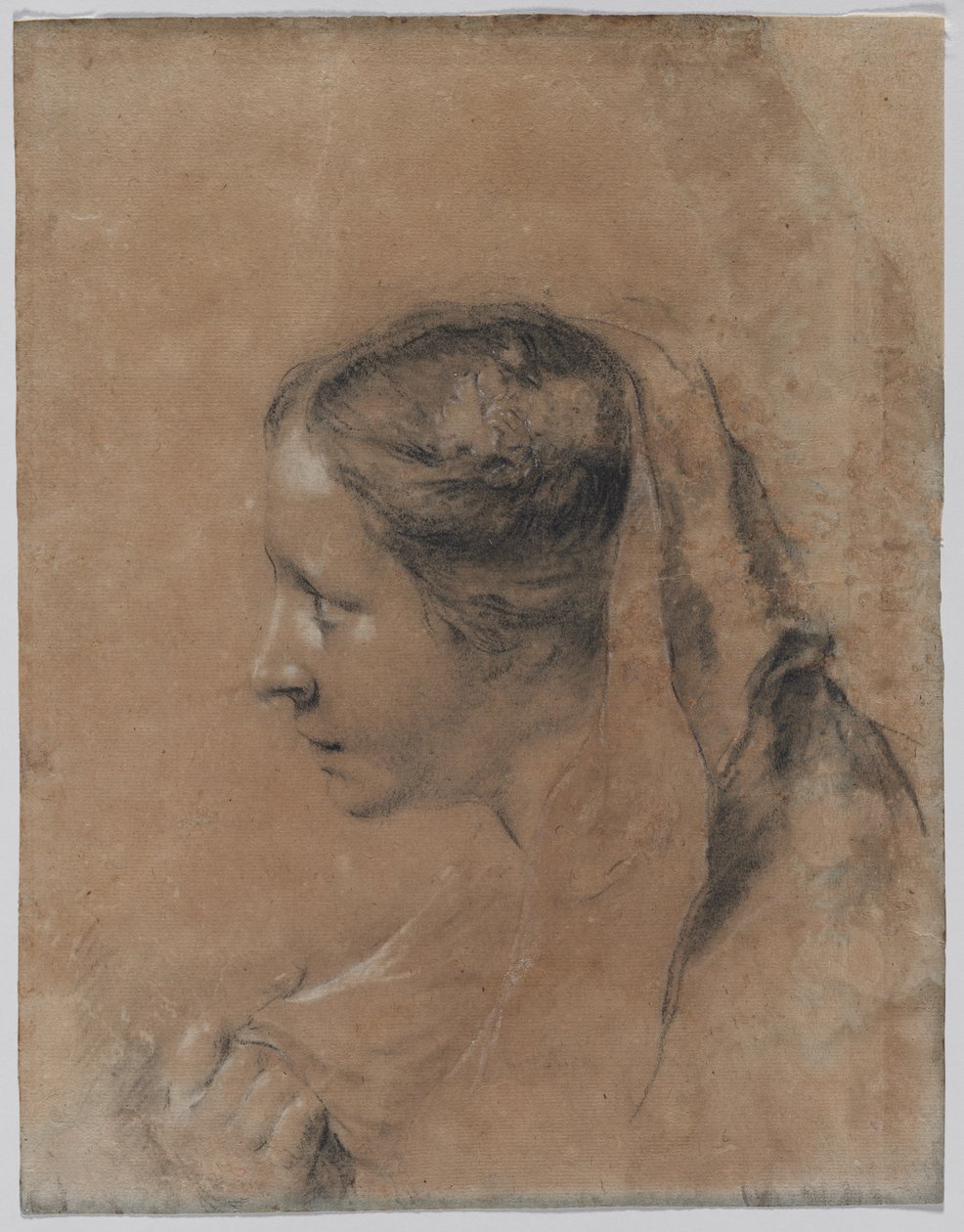 Cabeça de uma mulher de perfil com um lenço de Giovanni Battista Piazzetta