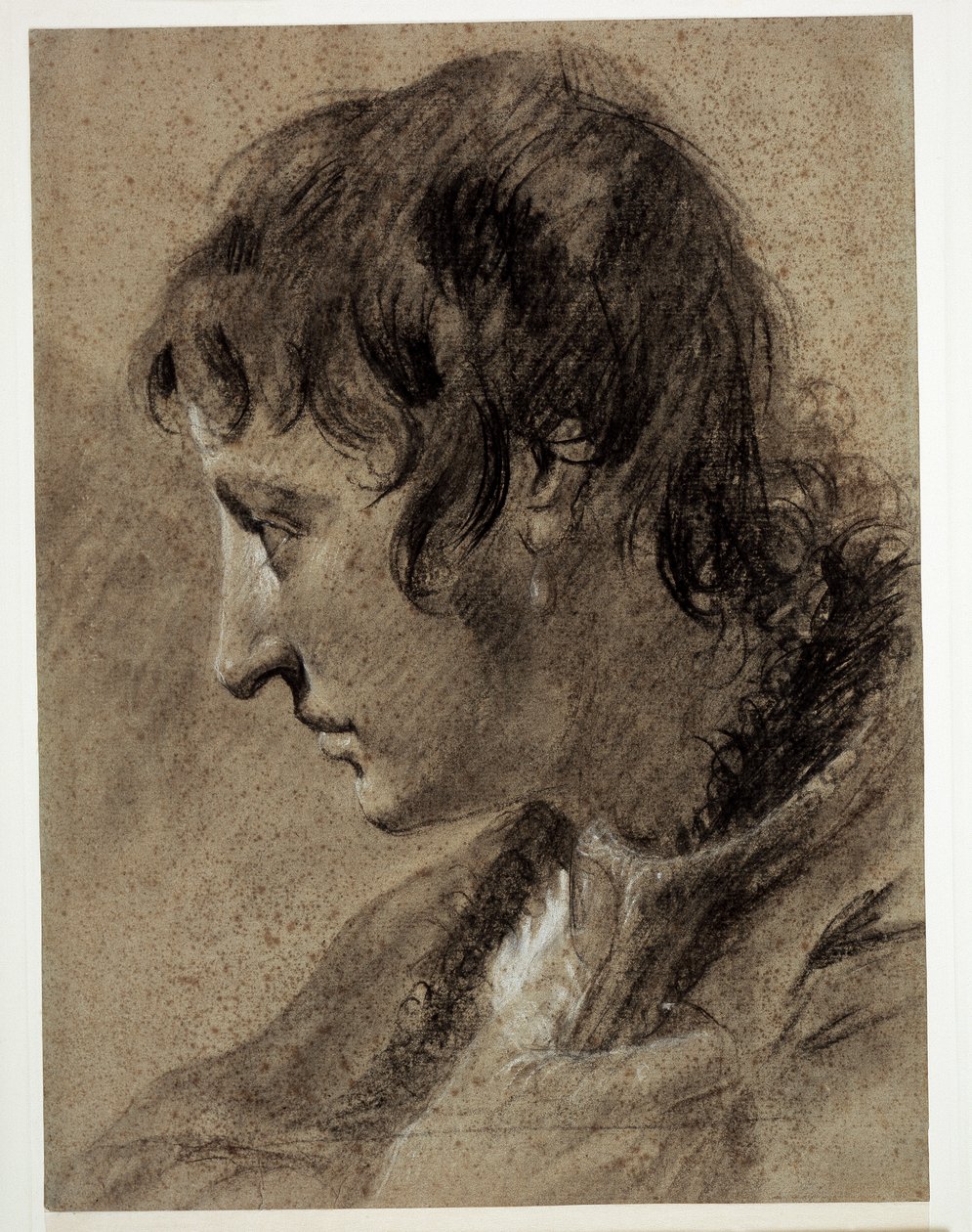 Cabeça de um jovem de Giovanni Battista Piazzetta