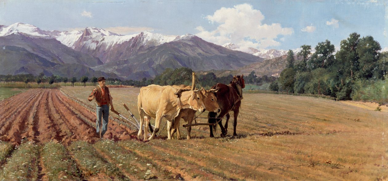 Lavouras de Giovanni Battista Quadrone