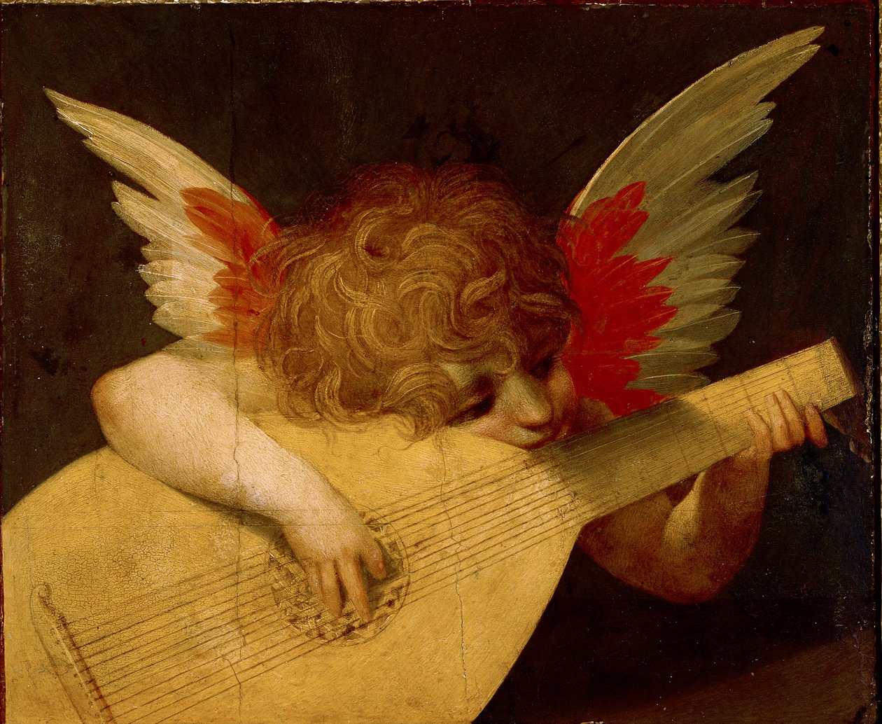 Anjo músico, c.1522 (têmpera sobre painel) de Giovanni Battista Rosso Fiorentino
