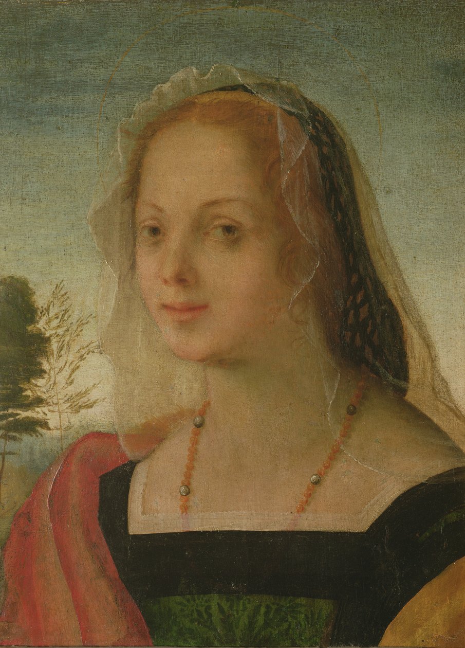 Retrato de uma jovem garota (tempera no painel) de Giovanni Battista Rosso Fiorentino