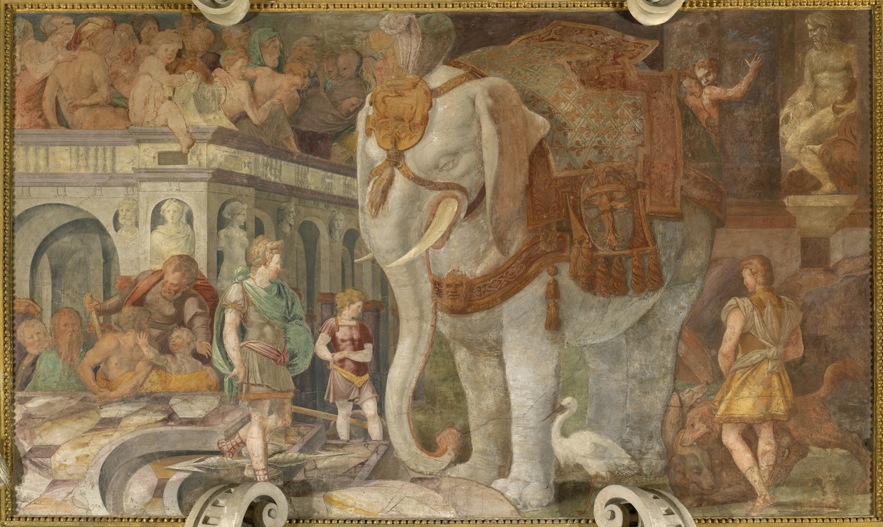 O elefante real de Giovanni Battista Rosso Fiorentino