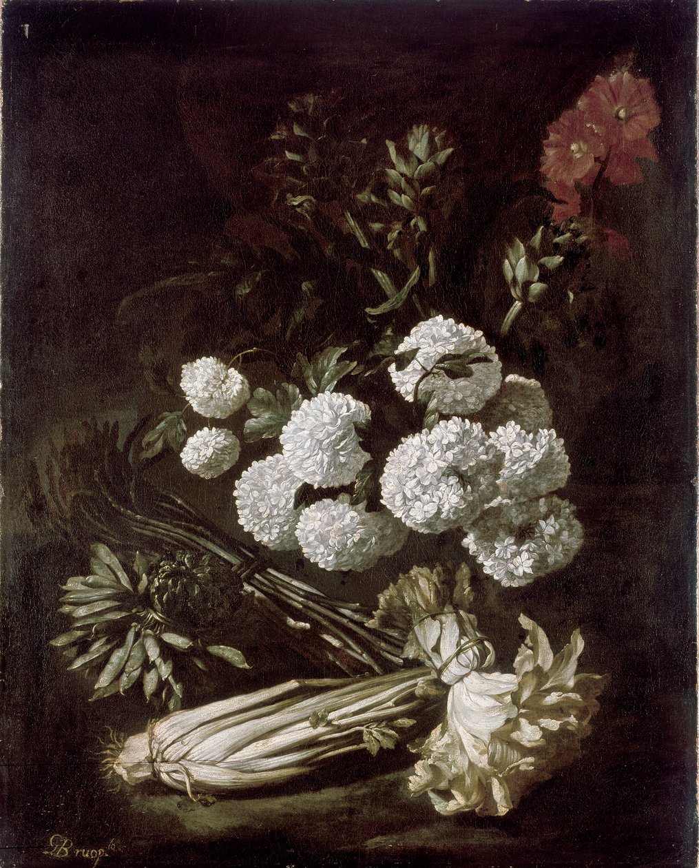 Natureza Morta de Flores e Vegetais, 1650s de Giovanni Battista Ruoppolo