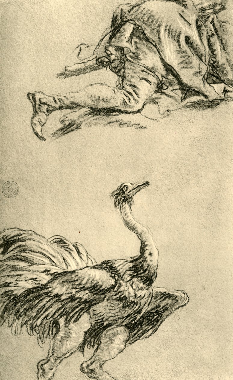 Avestruz correndo, 1752-1753, 1928 de Giovanni Battista Tiepolo