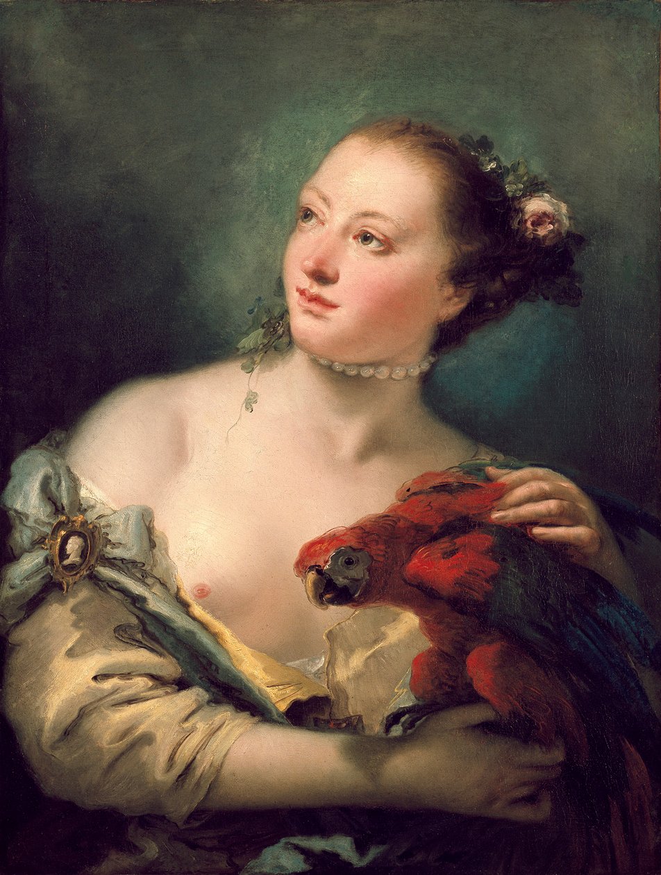 Uma jovem com uma arara, final de 1760 de Giovanni Battista Tiepolo
