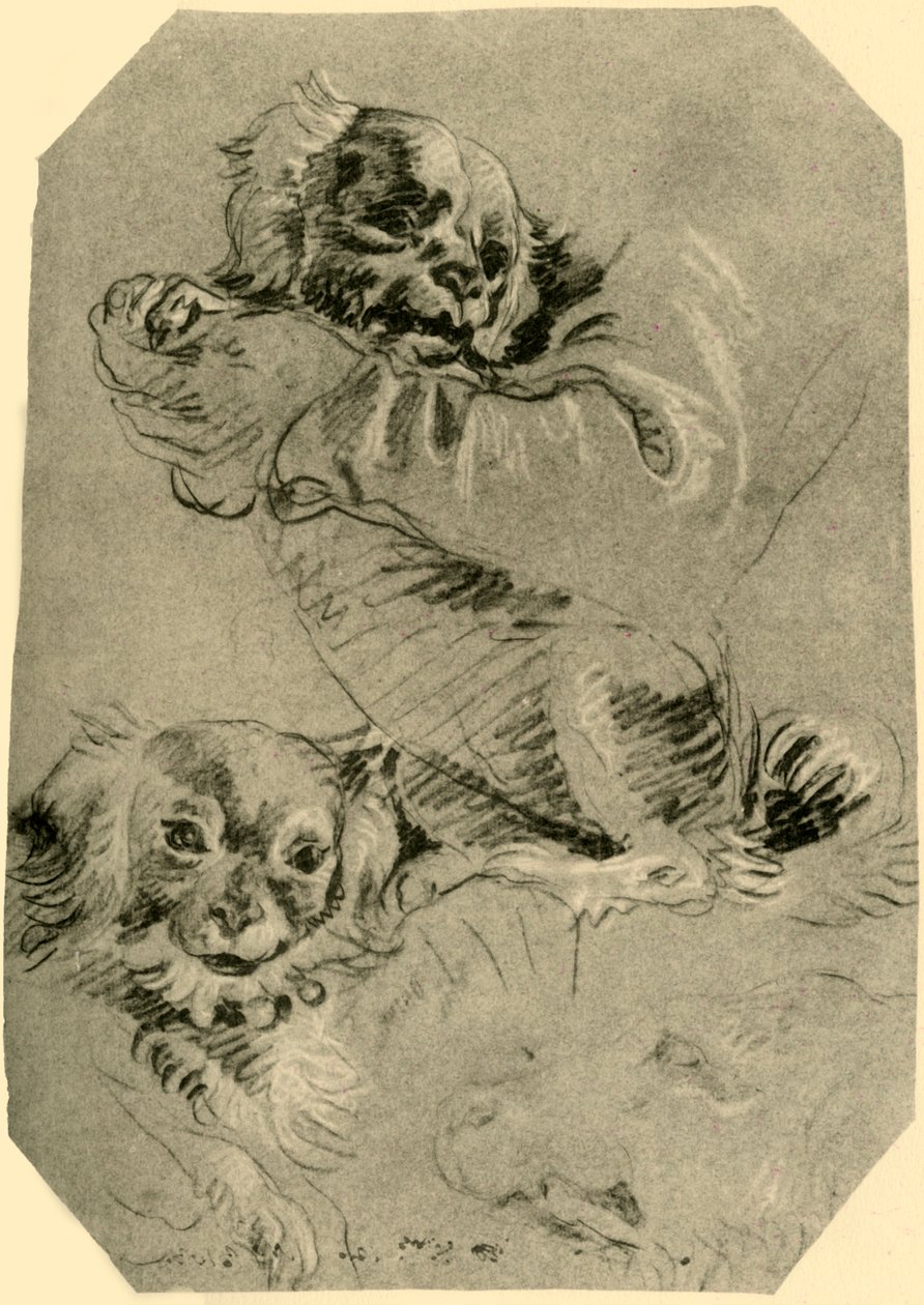 Cães de Bolonha, 1751-1752, 1928 de Giovanni Battista Tiepolo