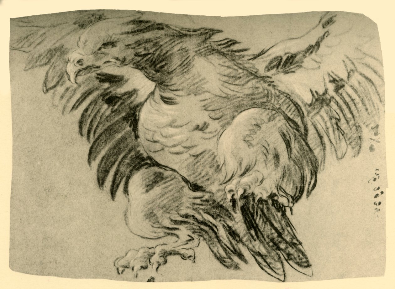 Águia, 1751-1752, 1928 de Giovanni Battista Tiepolo