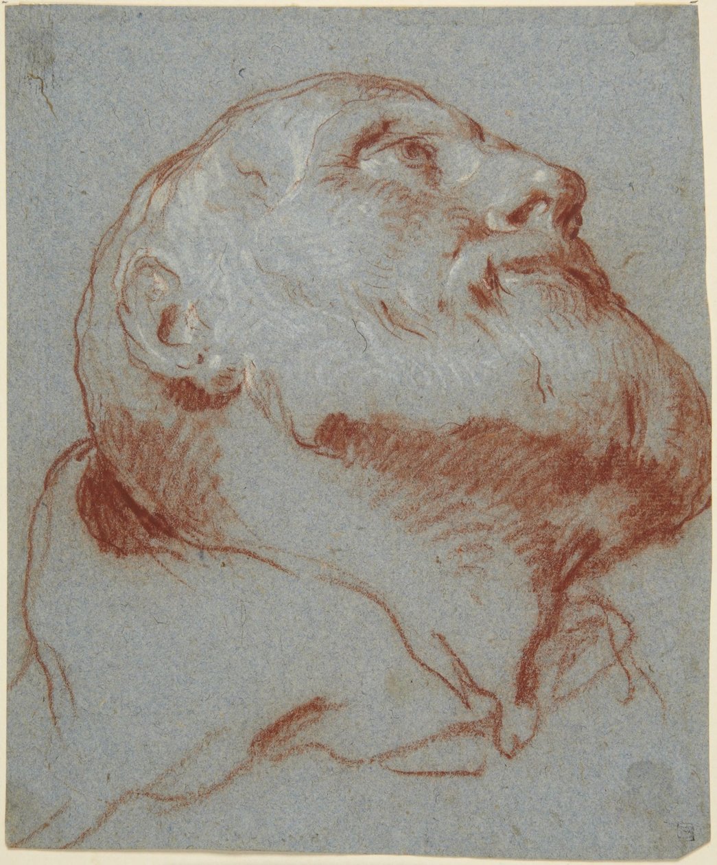 Cabeça de um homem barbudo, vista de baixo e olhando para cima de Giovanni Battista Tiepolo