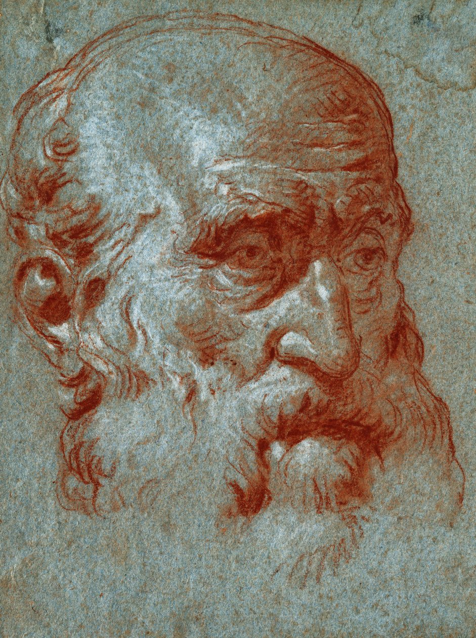 Chefe de uma Patrícia veneziana, Cara de três quartos, de Giovanni Battista Tiepolo